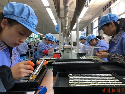 貴港這家企業把工廠搬到 家門口 原因是