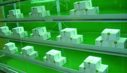 五行豆腐農(nóng)產(chǎn)品包裝設(shè)計(jì)與市場營銷策劃方案